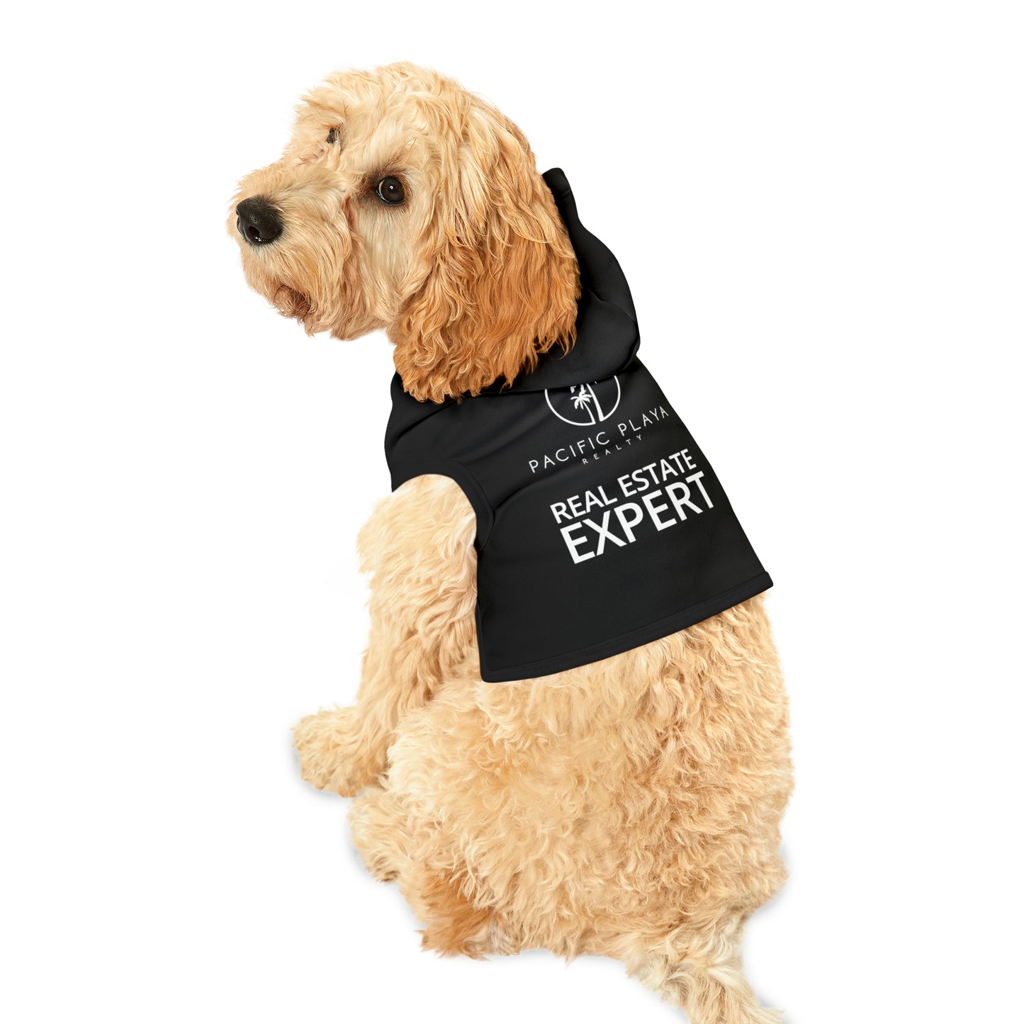 Real Estate Expert Dog Hoodie