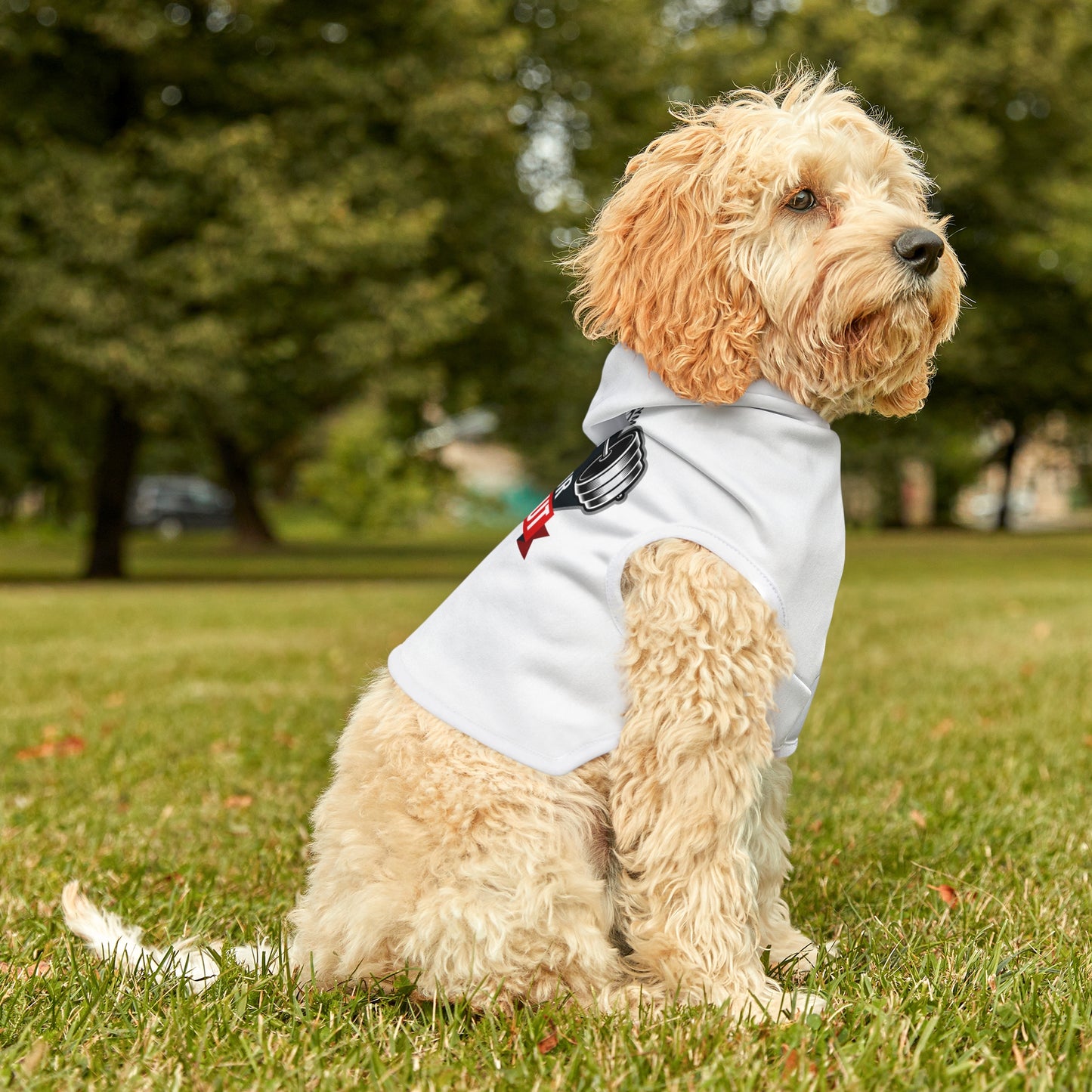 It’s Not The Gym It's Your Workout Dog Hoodie