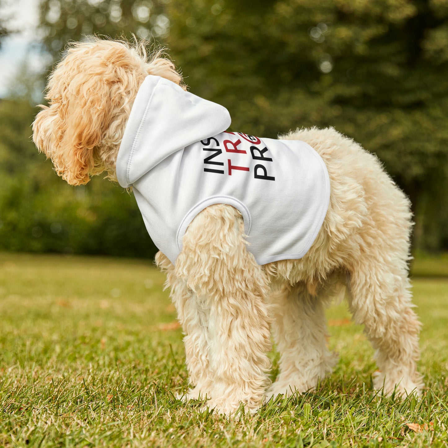 Inspire Train Propel Dog Hoodie