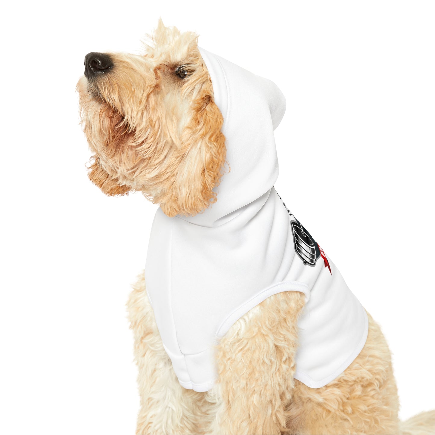 It’s Not The Gym It's Your Workout Dog Hoodie