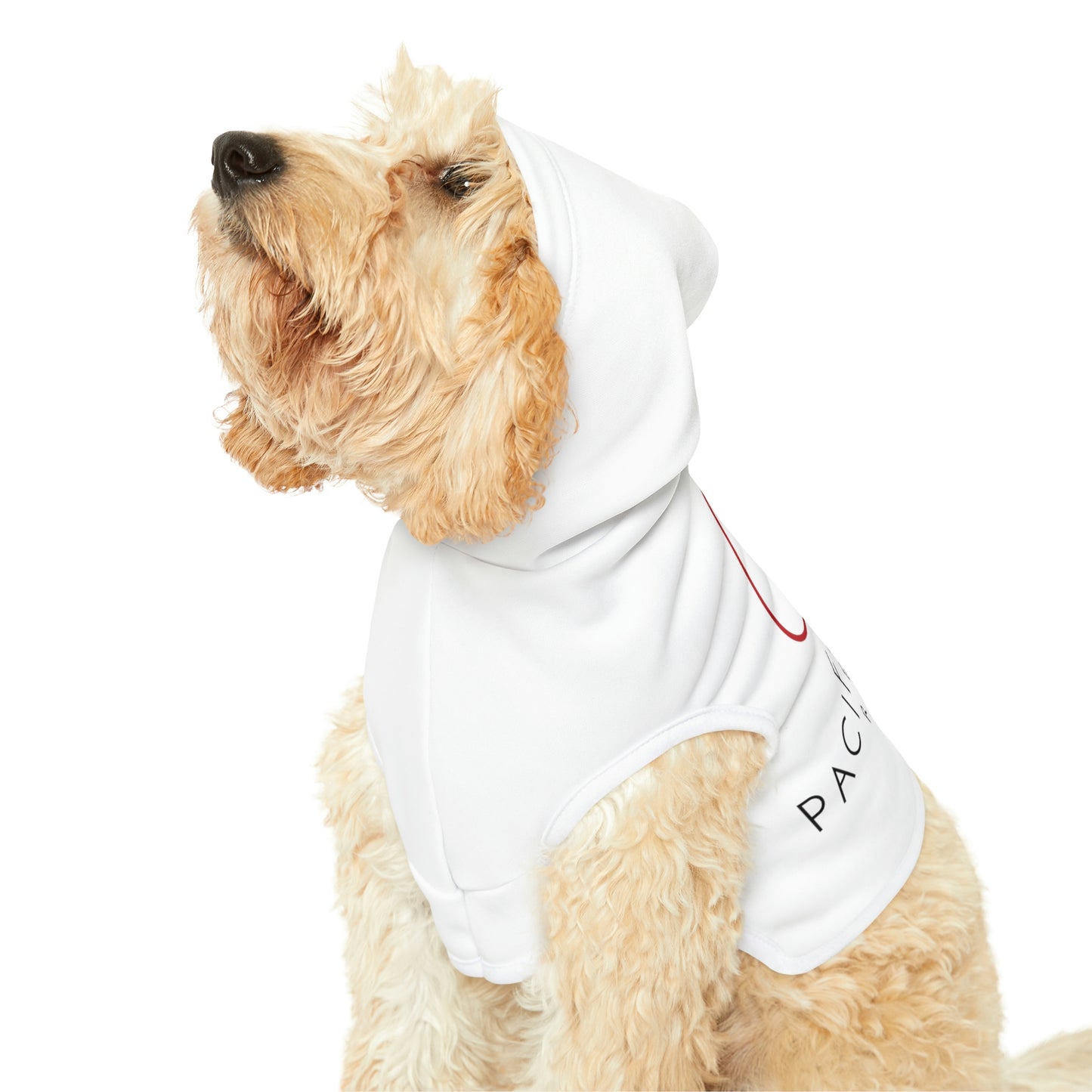 PPR Dog Hoodie