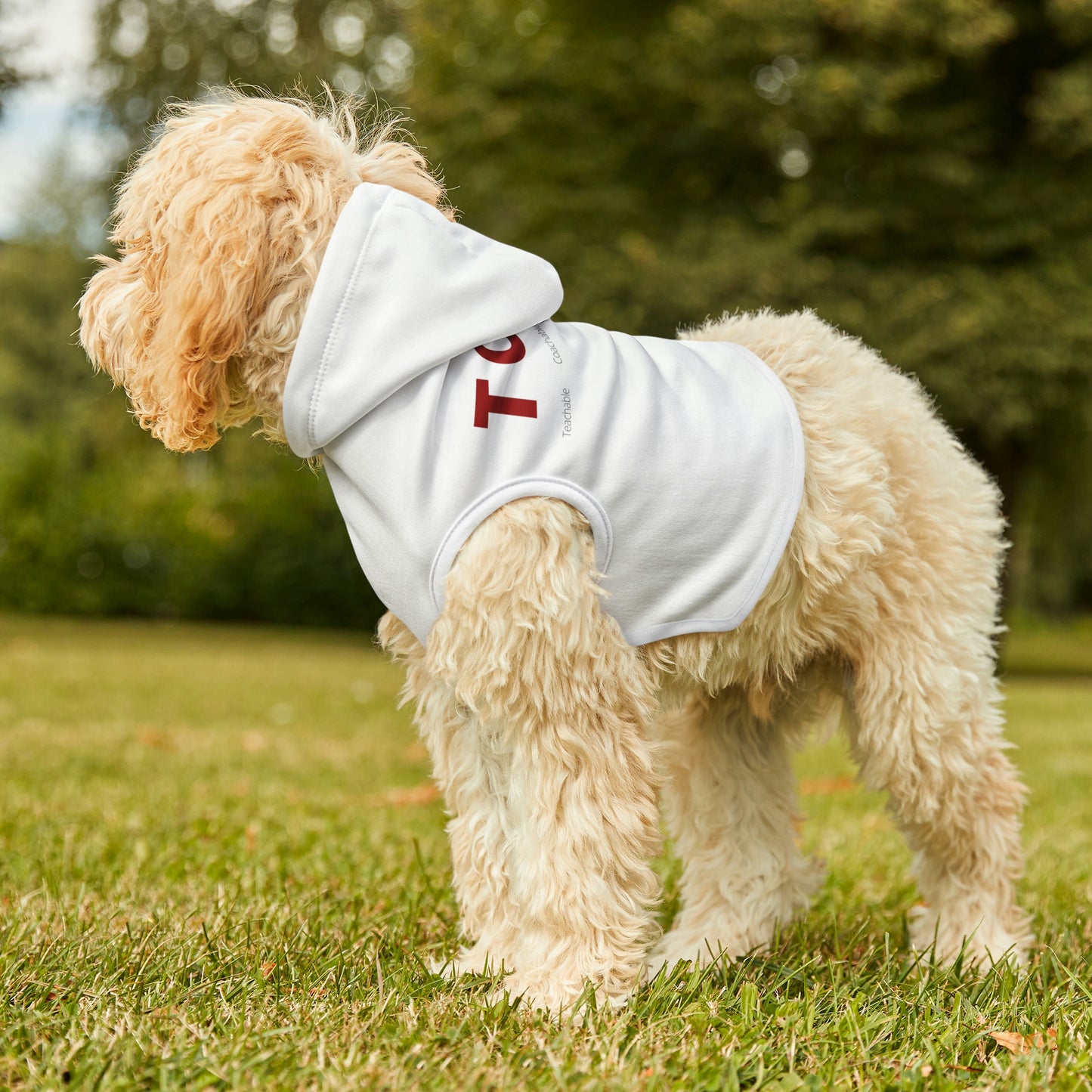 TCTC Dog Hoodie