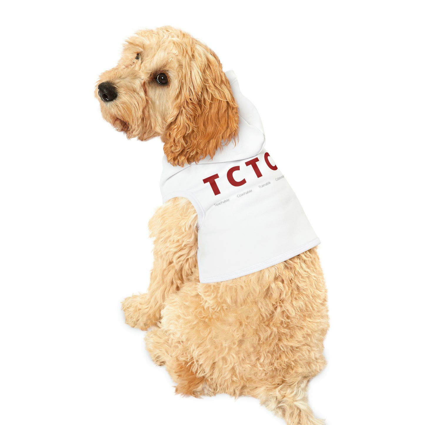 TCTC Dog Hoodie