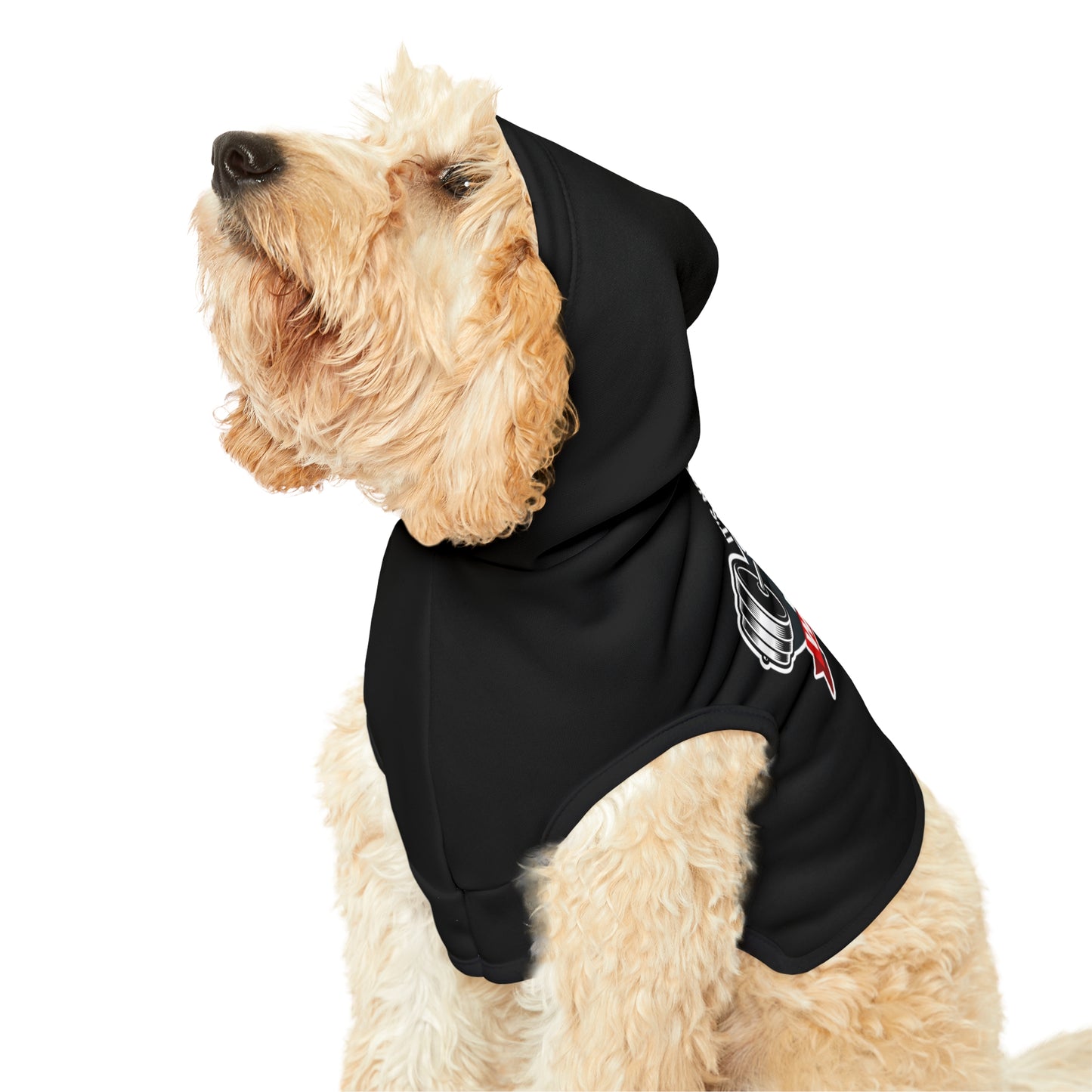 It’s Not The Gym It's Your Workout Dog Hoodie