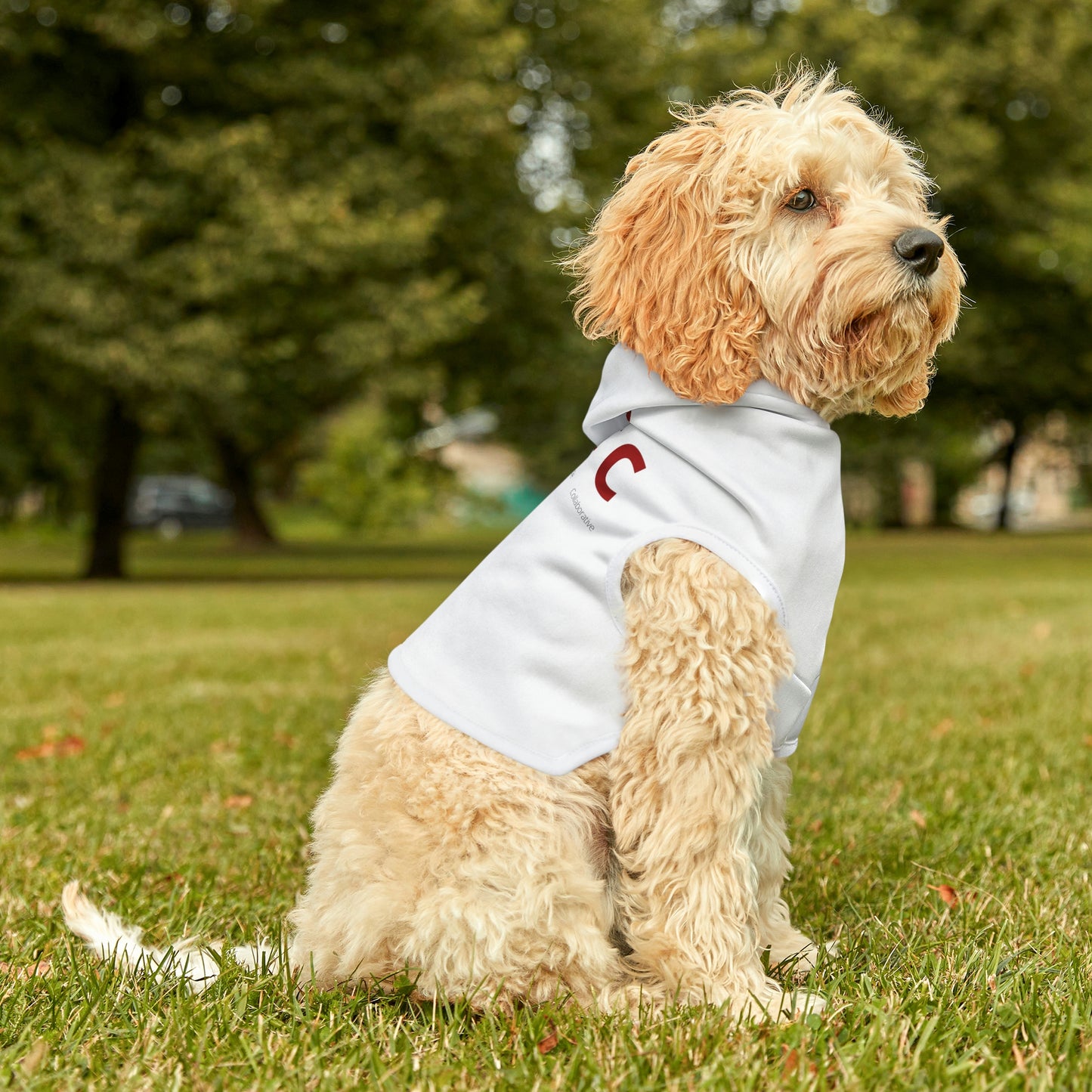 TCTC Dog Hoodie