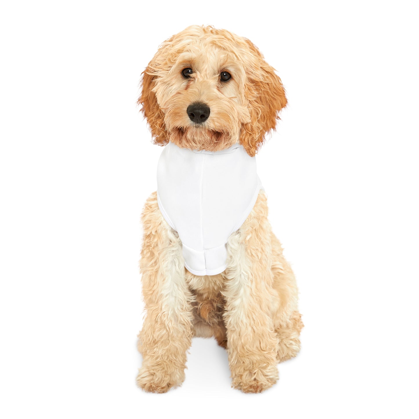 It’s Not The Gym It's Your Workout Dog Hoodie