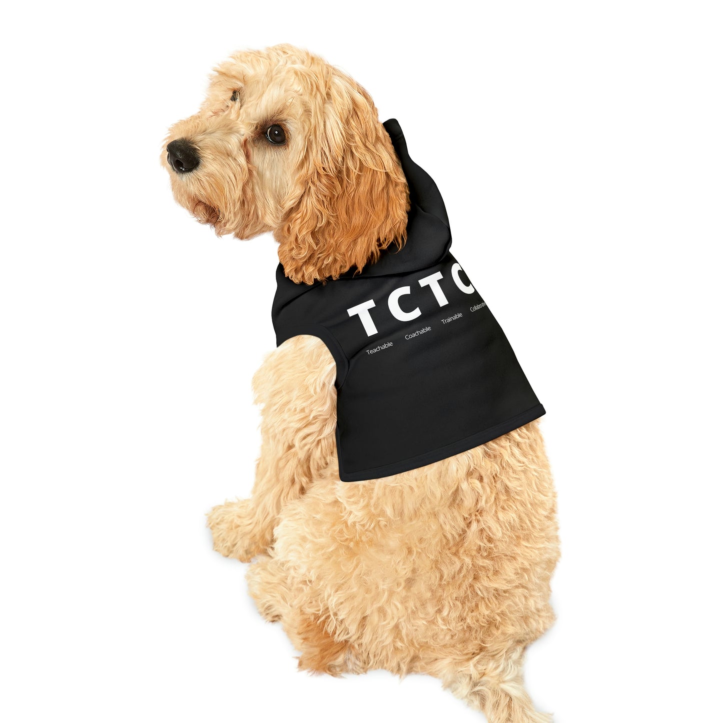 TCTC Dog Hoodie